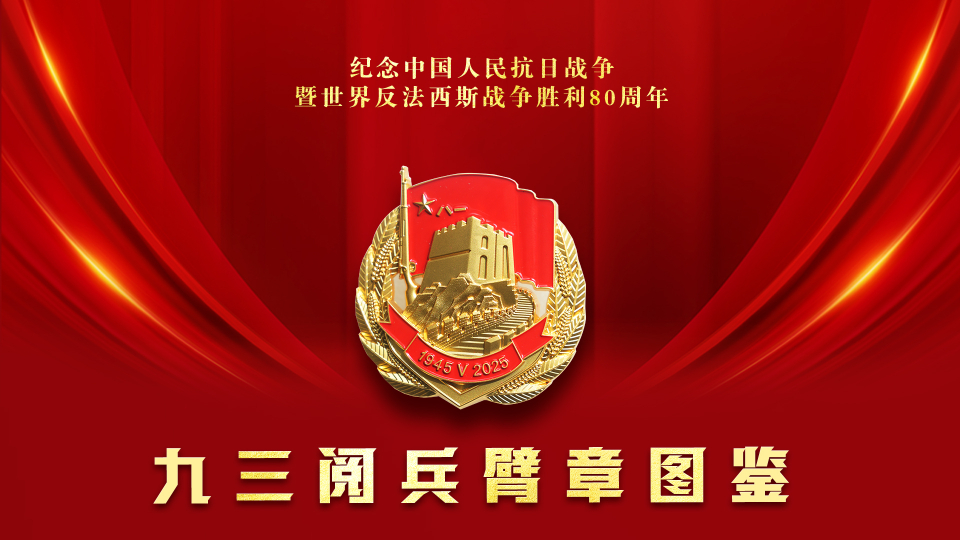 請收藏！九三閱兵臂章圖鑒