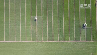 如何讓假劣化肥不再坑農害農？