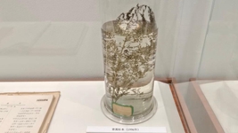 獻給世界的禮物——“青蒿素研究”持續助力全球抗瘧