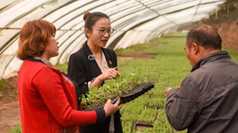 青春，在一線(xiàn)綻放芳華——“最美基層高校畢業(yè)生”速寫(xiě)