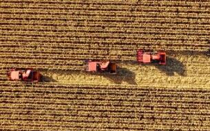 今秋，金秋！