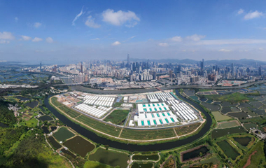 我在現場(chǎng)·照片背后的故事｜援港60天，見(jiàn)證荒灘起方舟