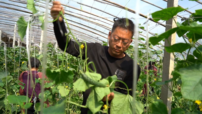 點(diǎn)亮自強自立“心燈”！聽(tīng)聽(tīng)這些殘疾人的創(chuàng  )業(yè)就業(yè)故事