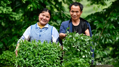 你是我的眼，我是你的手