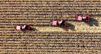 非凡十年｜吉林：加快推動(dòng)全面振興、全方位振興