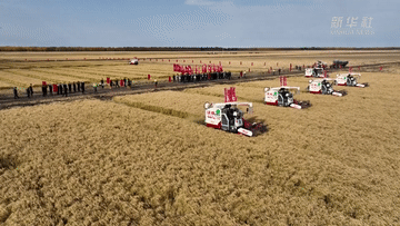 黑龍江:智慧農業(yè)助力豐產(chǎn)豐收