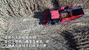 吉林:“無(wú)人農場(chǎng)”實(shí)現玉米無(wú)人自動(dòng)收割