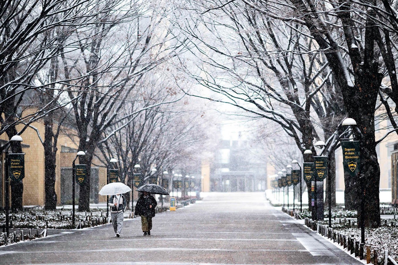 日本大學(xué)文科改革嘗試效果幾何