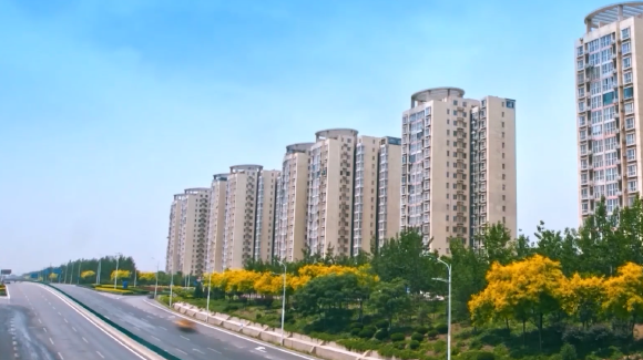 縣域數字化如何走出特色之路？