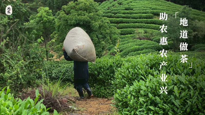 助農惠農產(chǎn)業(yè)興