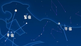 虎年來(lái)了，抬頭尋找天上的“白虎”