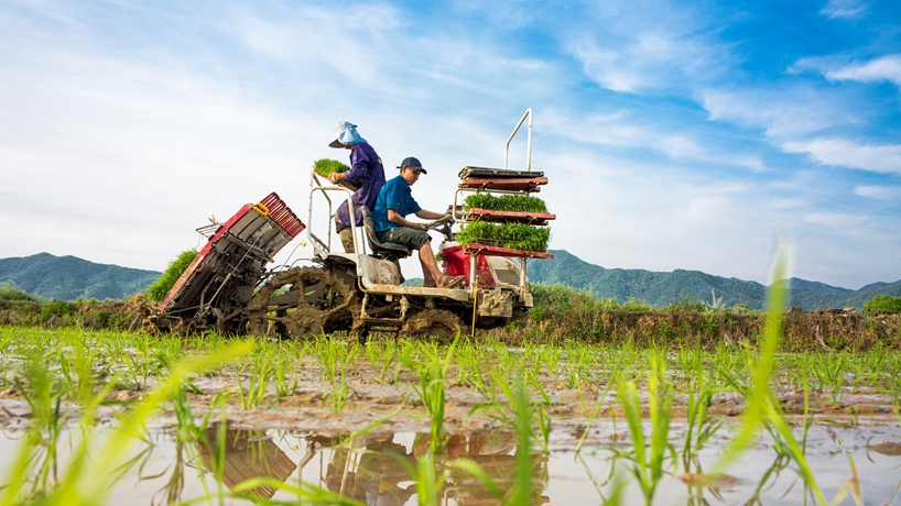 當前中國經(jīng)濟十問(wèn)