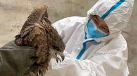 “給動(dòng)物一個(gè)溫暖的家，用愛(ài)照亮前行的路”