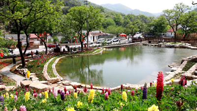 休閑、教育、養老……“三農”變化之農業(yè)新功能