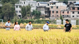 新農人給鄉村振興帶來(lái)哪些新面貌？