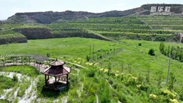 河北武安：采石場(chǎng)轉型農業(yè)示范園