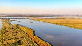“京津綠肺”七里海濕地為候鳥(niǎo)到來(lái)做好準備