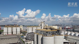 端牢這碗大國科技“飯”:看科技如何助力加工減損