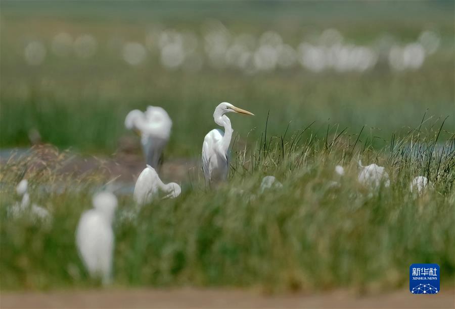 (江河奔騰看中國)(9)綠色閩江 清新福建