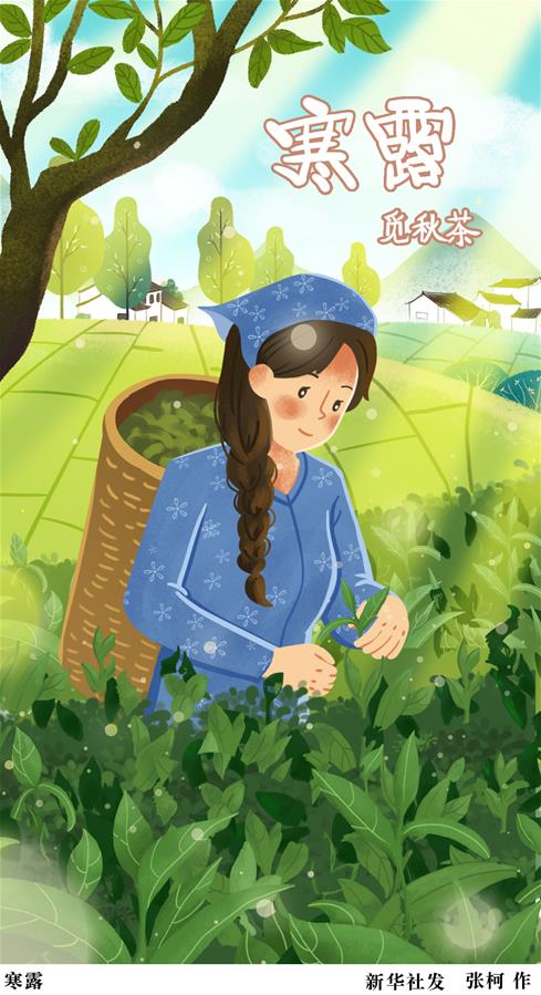 （圖表·插畫(huà)）［二十四節氣·寒露］寒露（二）