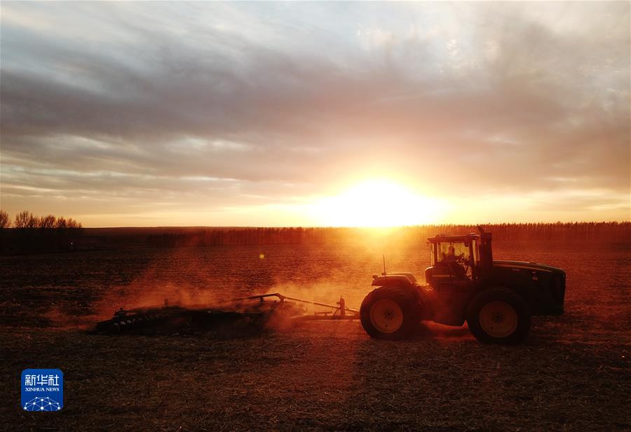 （鏡觀(guān)中國·新華社國內新聞?wù)掌恢芫x）（11）“北大倉”豐收色彩 
