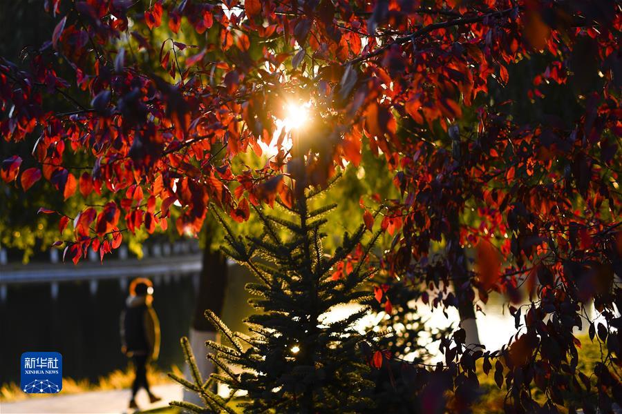 （鏡觀(guān)中國·新華社國內新聞?wù)掌恢芫x）（12）長(cháng)春秋景如畫(huà)