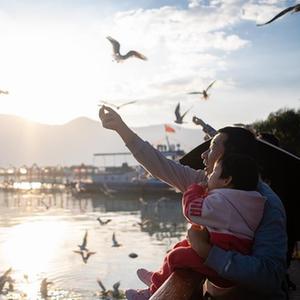 （鏡觀(guān)中國·新華社國內新聞?wù)掌恢芫x）（6）云南昆明：春城迎接紅嘴鷗