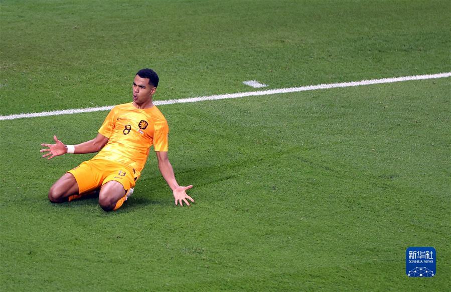 (卡塔爾世界杯)足球——A組:荷蘭戰勝塞內加爾