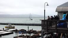 美國舊金山:疫情下的周末