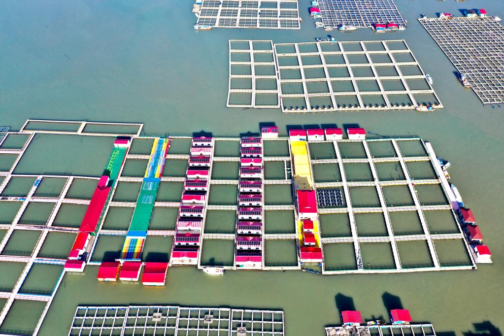 福建寧德:海上田園煥新顏