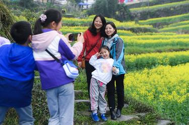山鄉梯田開(kāi)啟春季“花朝節”