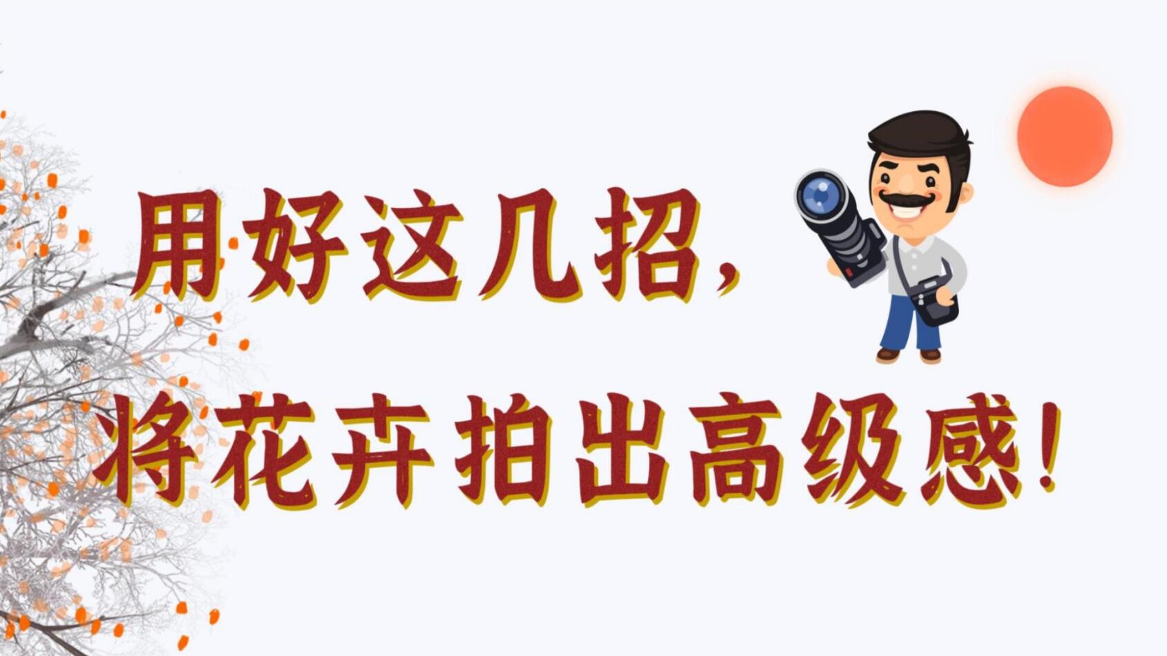 【光影輕課堂】用好這幾招，將花卉拍出高級感！