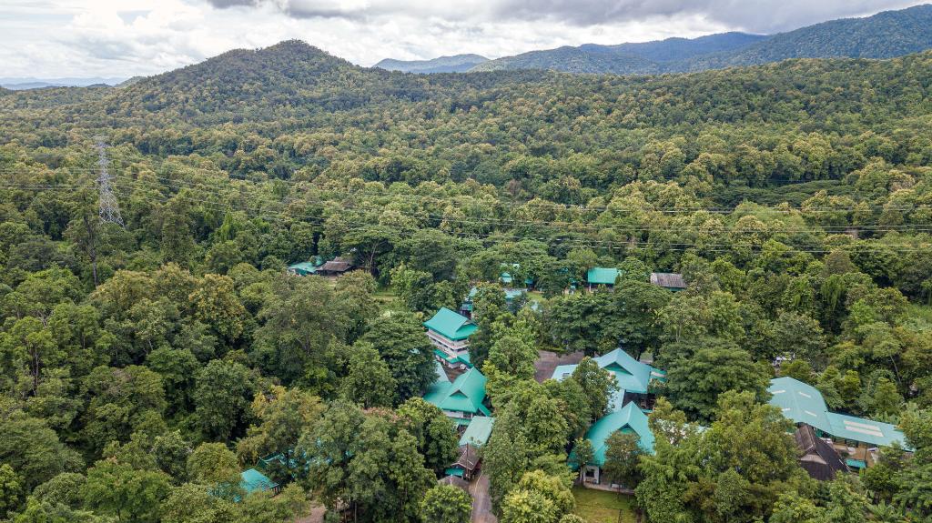 世界大象日:探訪(fǎng)世界首家大象醫院