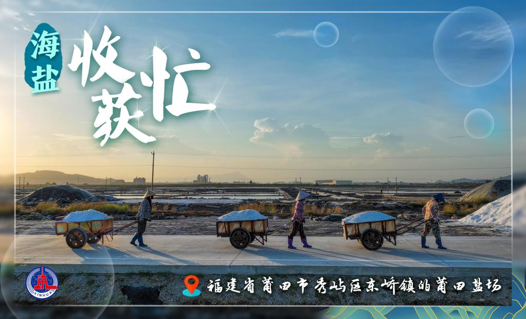 新華全媒+丨海鹽收獲忙