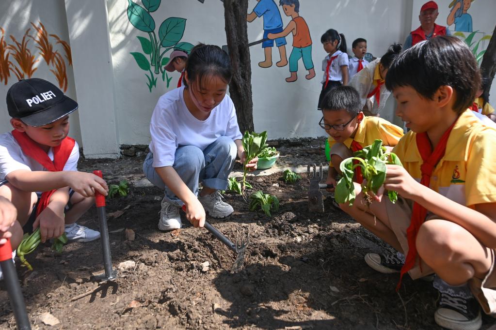 浙江湖州:勞動(dòng)實(shí)踐教育開(kāi)啟“開(kāi)學(xué)第一課”