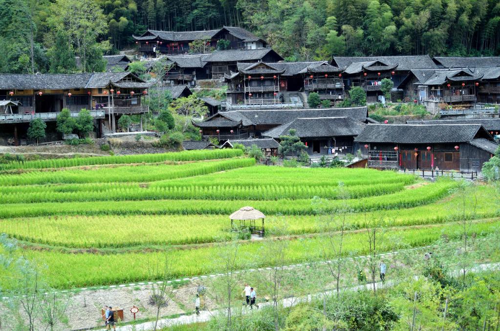 初秋樂(lè )游吊腳樓