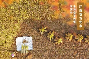 海報丨秋來(lái)農事忙