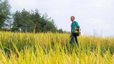 新華全媒+丨重慶酉陽(yáng):村郵站打通農村物流最后一公里