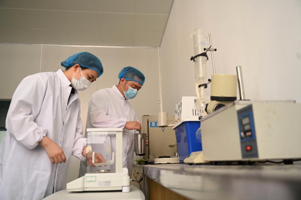 返鄉青年林俊杰的創(chuàng )業(yè)故事