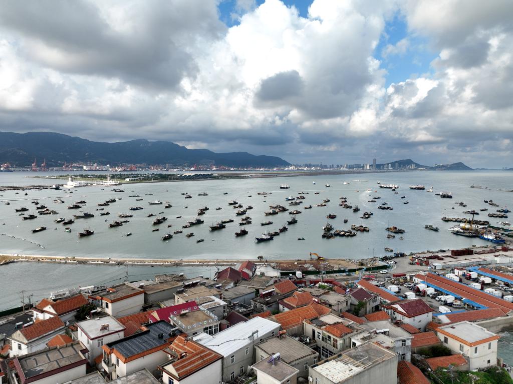 鏡觀(guān)中國·新華社國內新聞?wù)掌恢芫x