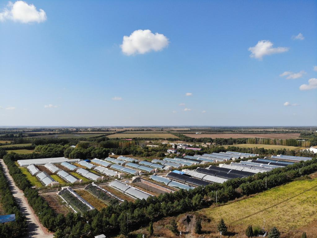 興十四村：現代農業(yè)推動(dòng)產(chǎn)業(yè)振興