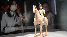 大唐金鄉縣主展在西安博物院開(kāi)展