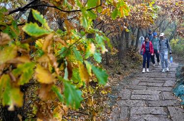北京:百花山秋色