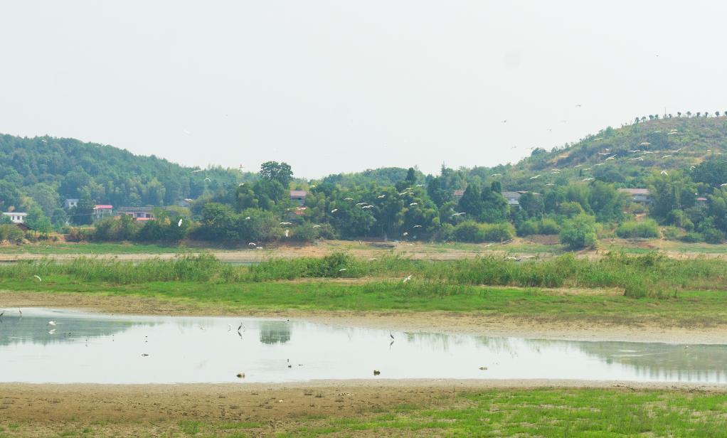 新華全媒+|湖南湘潭:221名民間林長(cháng)參與守護綠色大地