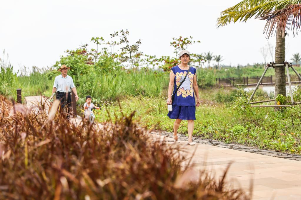 ?？冢汉忧灏毒G的邁雅河濕地公園