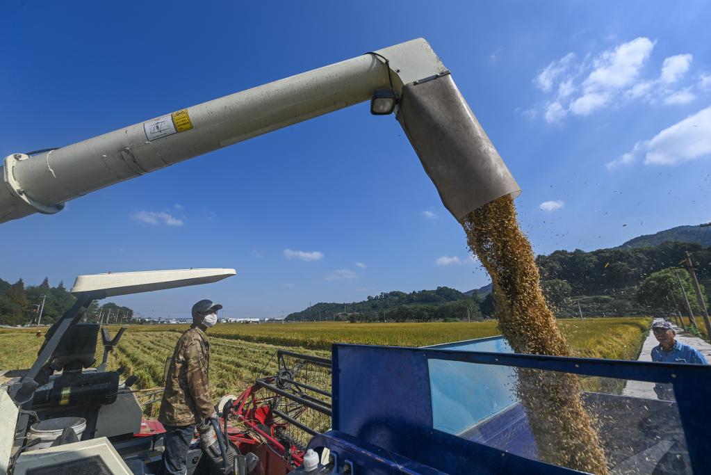 新華全媒+|魚(yú)米之鄉喜迎豐收