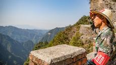 “守山人”張廷剛:以林為伴見(jiàn)證金佛山蝶變