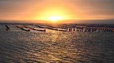 新華全媒+丨福建霞浦:霞光譜出致富曲