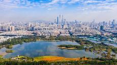 (新華全媒+)濕地之美丨廣州海珠濕地