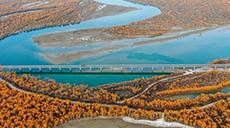 新疆塔里木河流域:深秋胡楊秀美如畫(huà)